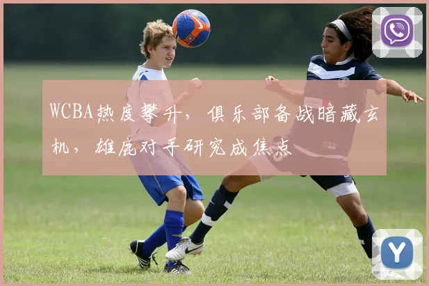 WCBA热度攀升，俱乐部备战暗藏玄机，雄鹿对手研究成焦点
